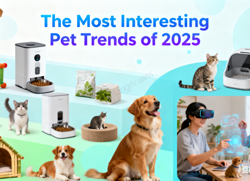 The Most Interesting Pet Trends of 2025: 5 Game-Changing Shifts for Pet Owners pet trends of 2025