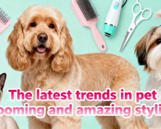 2025 Latest Pet Grooming & Amazing Styling Trends: Spoil Your Furry Friend