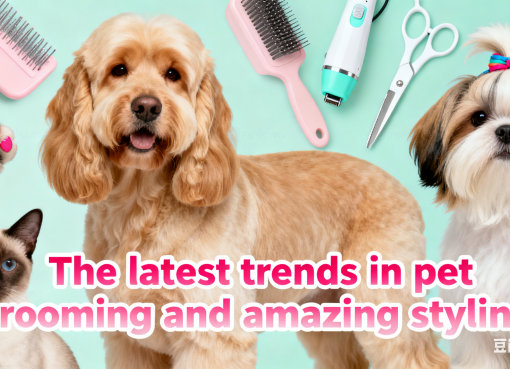2025 Latest Pet Grooming & Amazing Styling Trends: Spoil Your Furry Friend latest pet grooming and styling trends