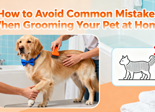 How to Avoid Common Mistakes When Grooming Your Pet at Home: 2025 Guide avoid common mistakes when grooming pet at home