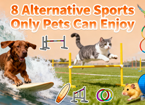 8 Fun Alternative Sports Only Pets Can Enjoy: Bond & Play Together (2025) alternative sports for pets