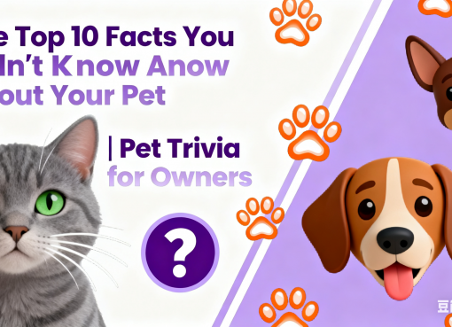 Pet Trivia