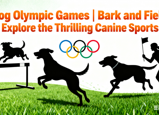 Dog Olympic Games | Bark and Field: Explore the Thrilling Canine Sports Thrilling