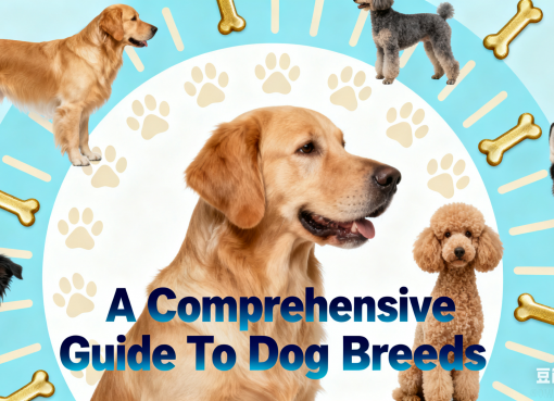 A Comprehensive Guide To Dog Breeds: Choose Your Perfect Furry Match (2025) comprehensive-dog-breeds-guide
